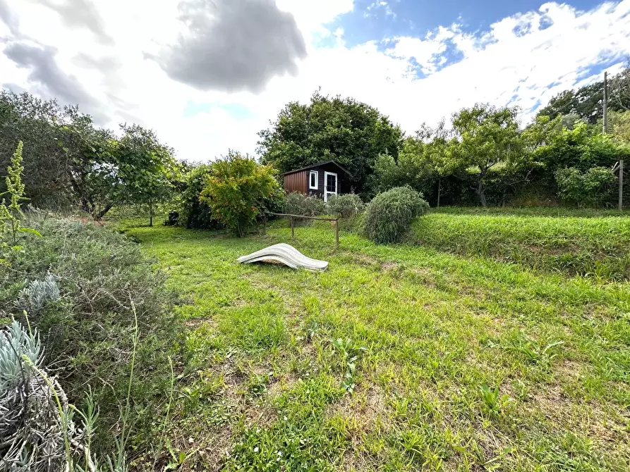 Immagine 18 di Villa in vendita  a Lucca