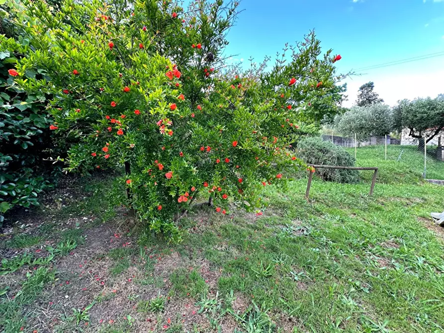 Immagine 20 di Villa in vendita  a Lucca