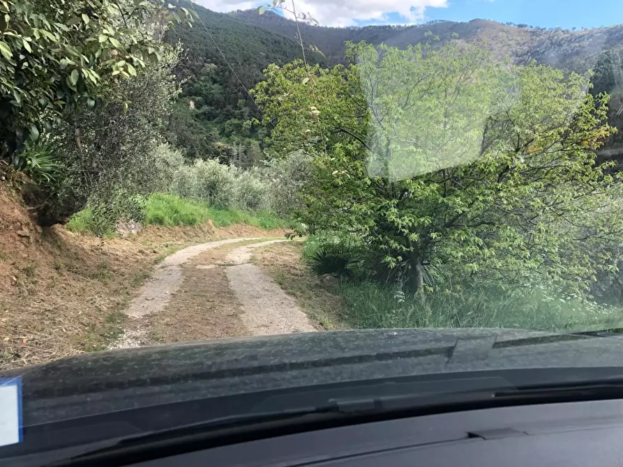 Immagine 6 di Casa indipendente in affitto  a Calci