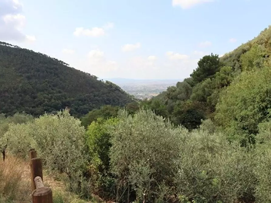 Immagine 41 di Casa indipendente in affitto  a Calci