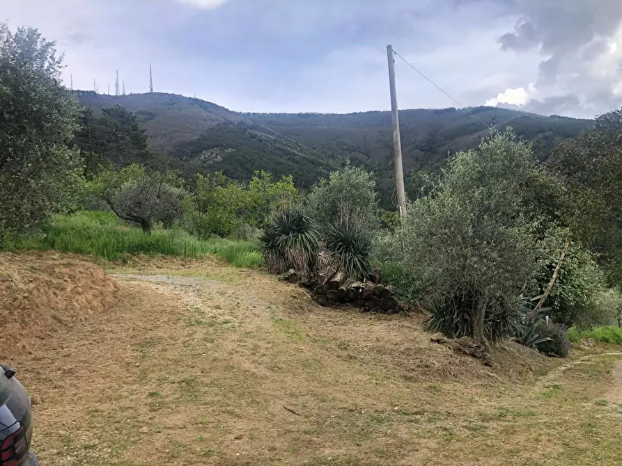 Immagine 7 di Casa indipendente in affitto  a Calci