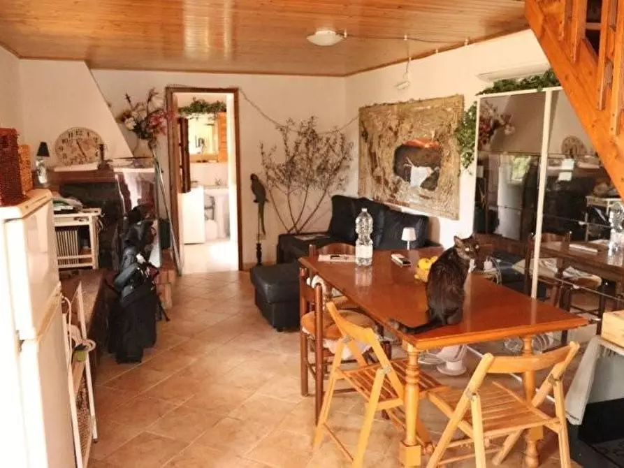 Immagine 48 di Casa indipendente in affitto  a Calci