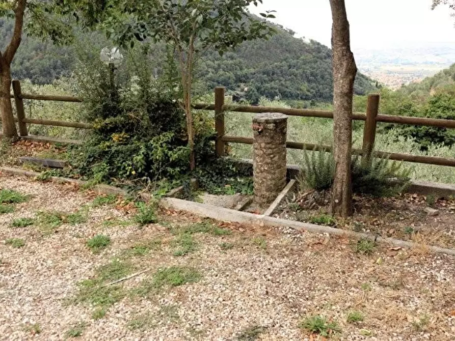 Immagine 45 di Casa indipendente in affitto  a Calci