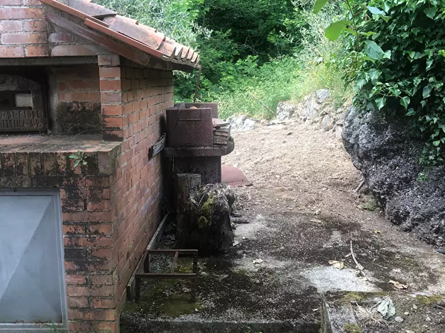 Immagine 21 di Casa indipendente in affitto  a Calci