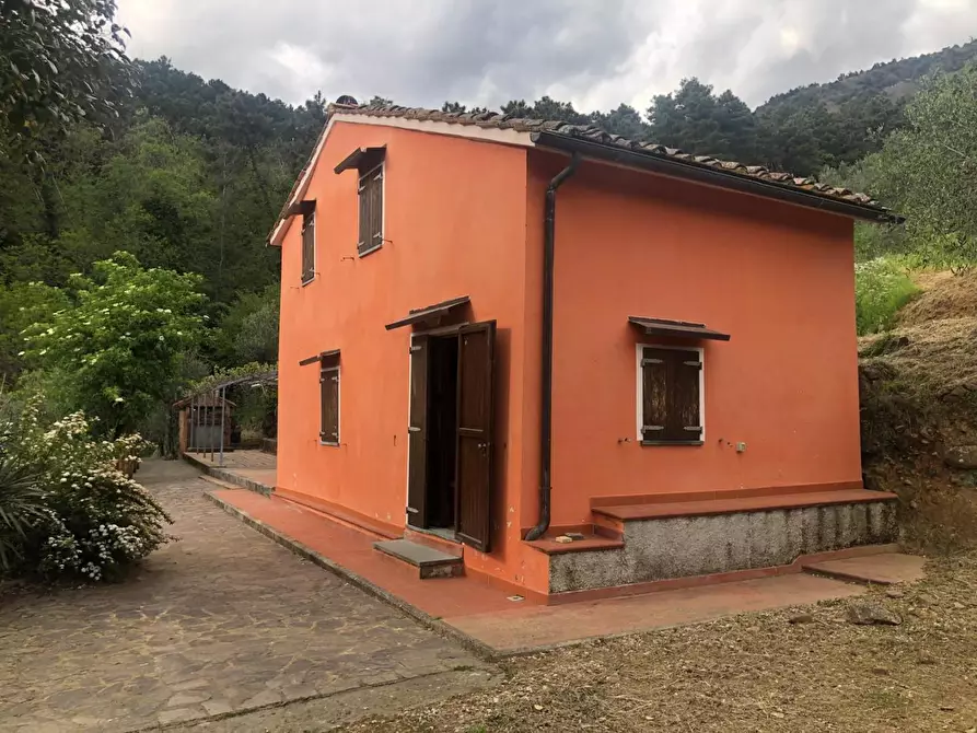 Immagine 2 di Casa indipendente in affitto  a Calci