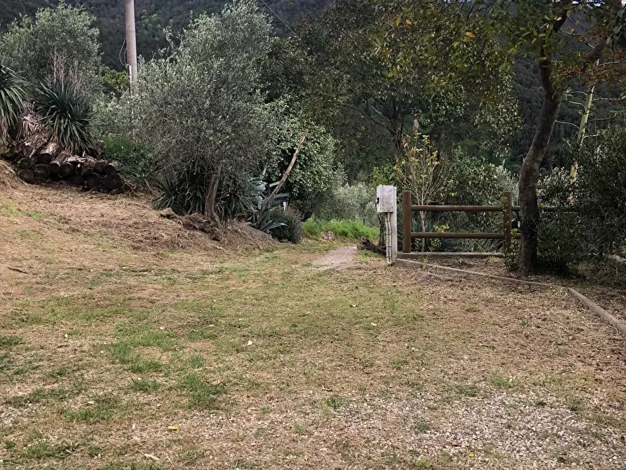 Immagine 3 di Casa indipendente in affitto  a Calci