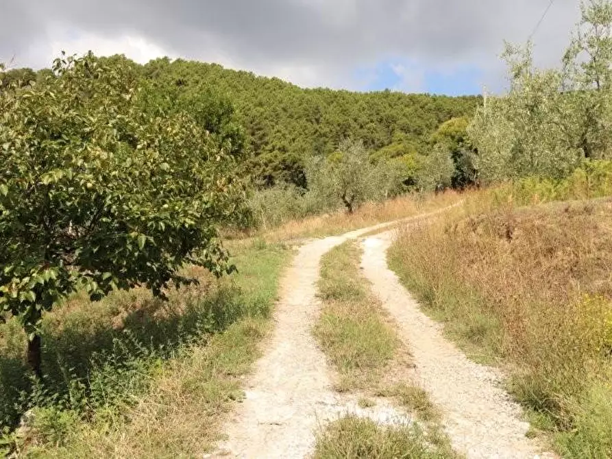 Immagine 26 di Casa indipendente in affitto  a Calci