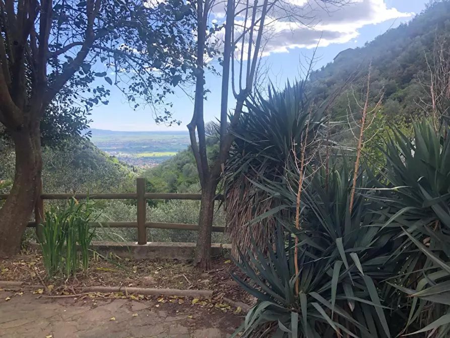Immagine 4 di Casa indipendente in affitto  a Calci