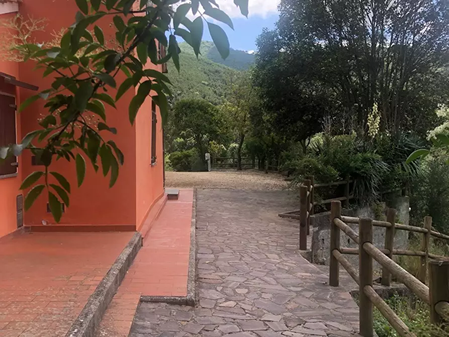 Immagine 18 di Casa indipendente in affitto  a Calci