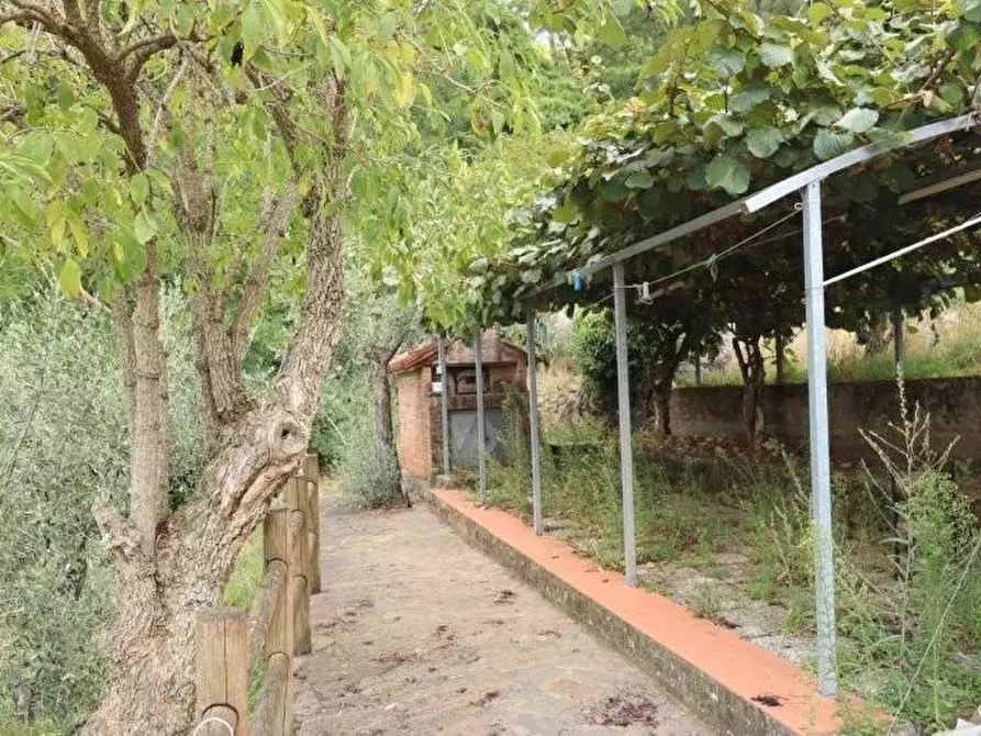 Immagine 39 di Casa indipendente in affitto  a Calci