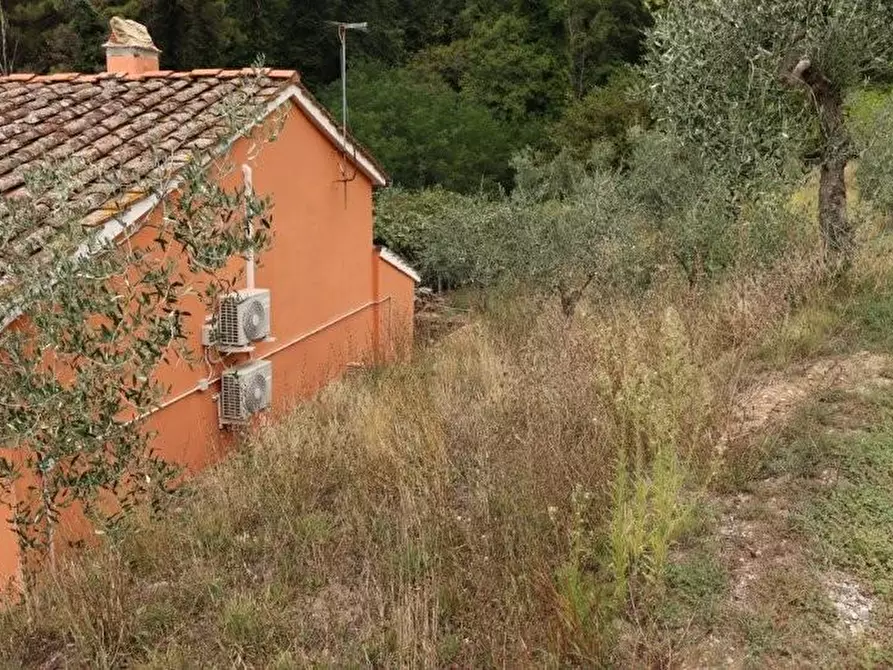 Immagine 38 di Casa indipendente in affitto  a Calci