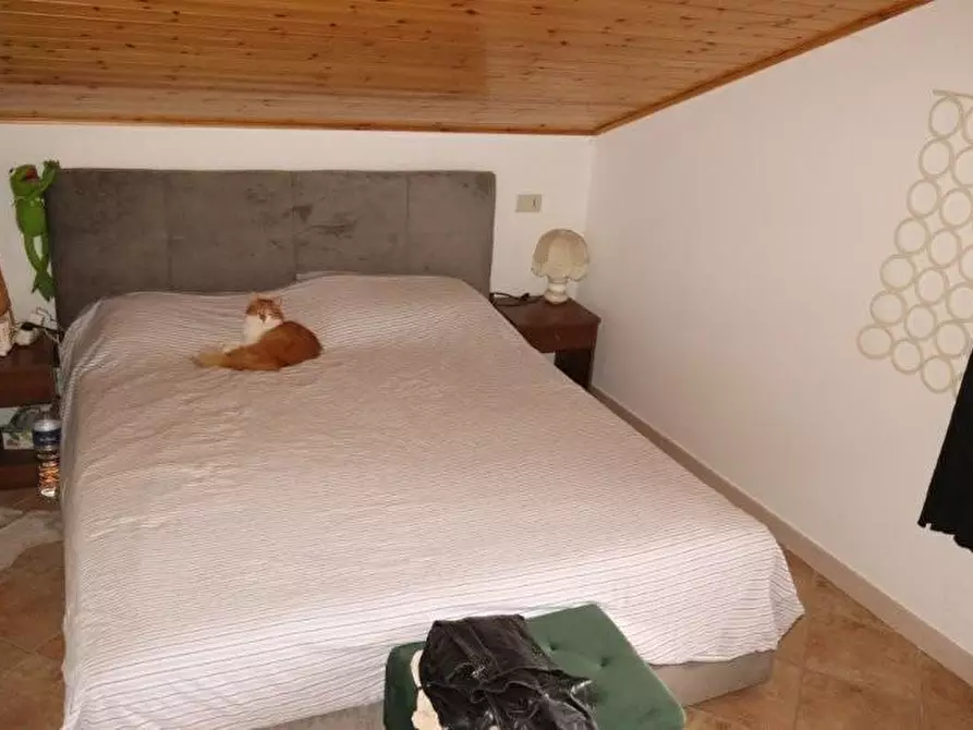 Immagine 60 di Casa indipendente in affitto  a Calci