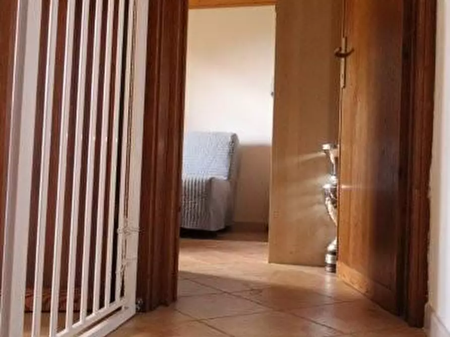 Immagine 58 di Casa indipendente in affitto  a Calci