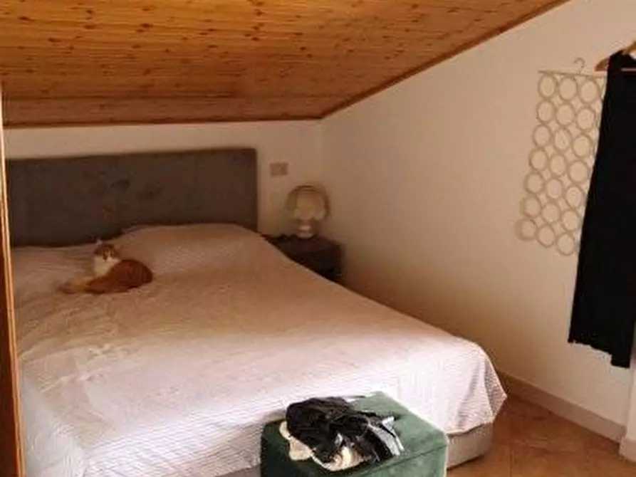 Immagine 59 di Casa indipendente in affitto  a Calci