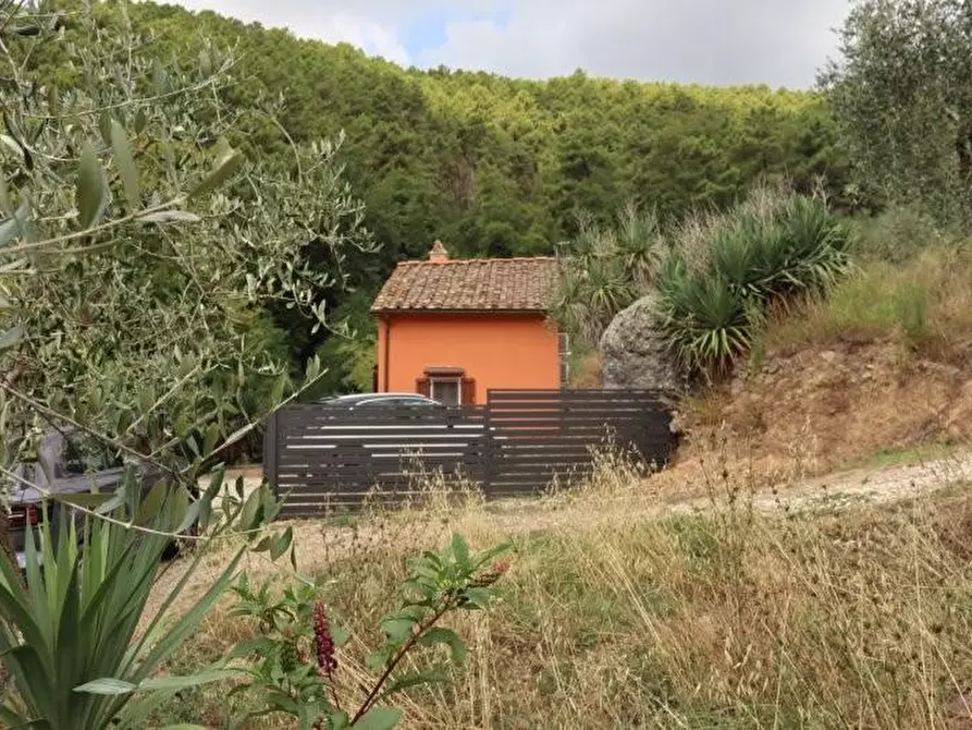 Immagine 29 di Casa indipendente in affitto  a Calci