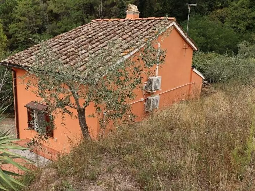 Immagine 37 di Casa indipendente in affitto  a Calci