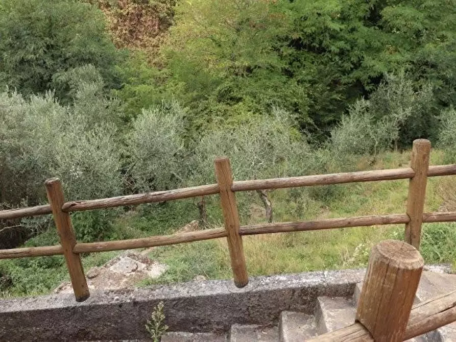 Immagine 44 di Casa indipendente in affitto  a Calci