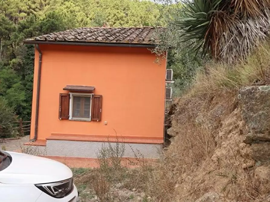 Immagine 33 di Casa indipendente in affitto  a Calci