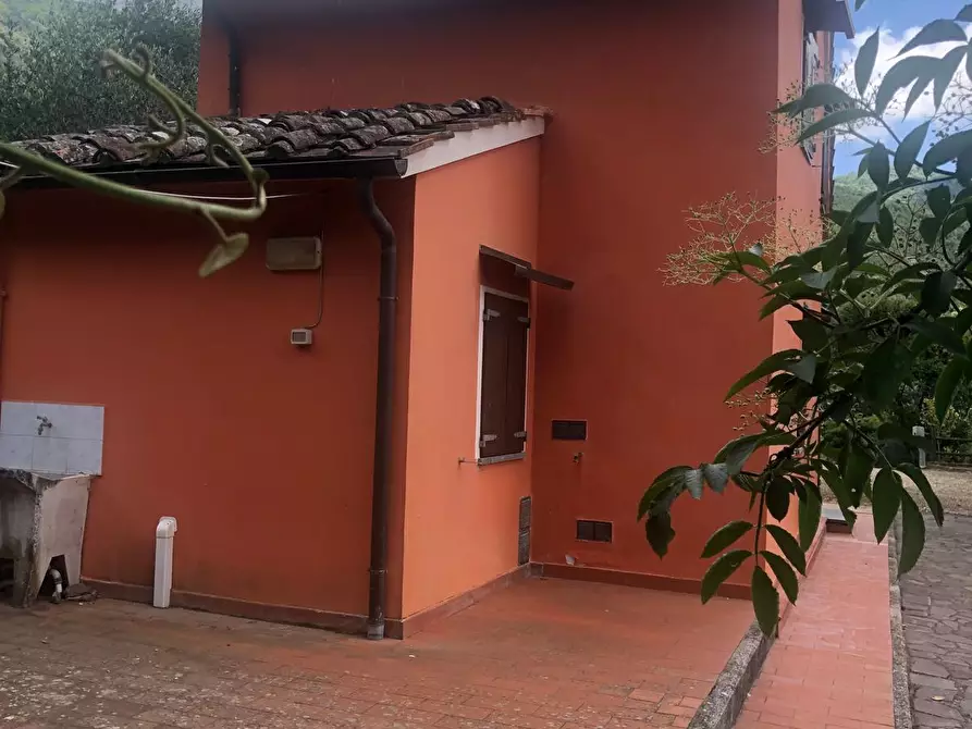 Immagine 19 di Casa indipendente in affitto  a Calci