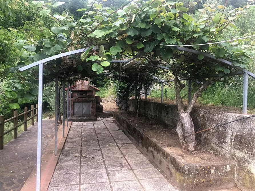 Immagine 23 di Casa indipendente in affitto  a Calci