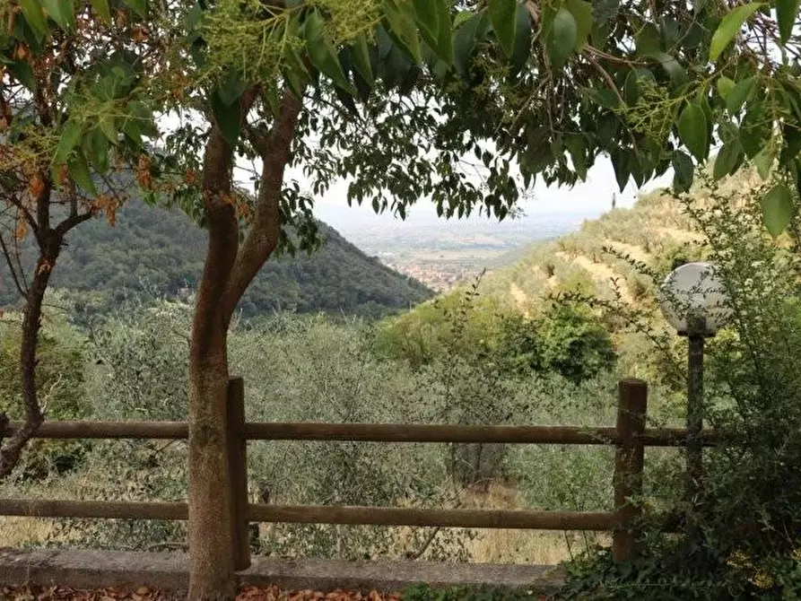 Immagine 43 di Casa indipendente in affitto  a Calci