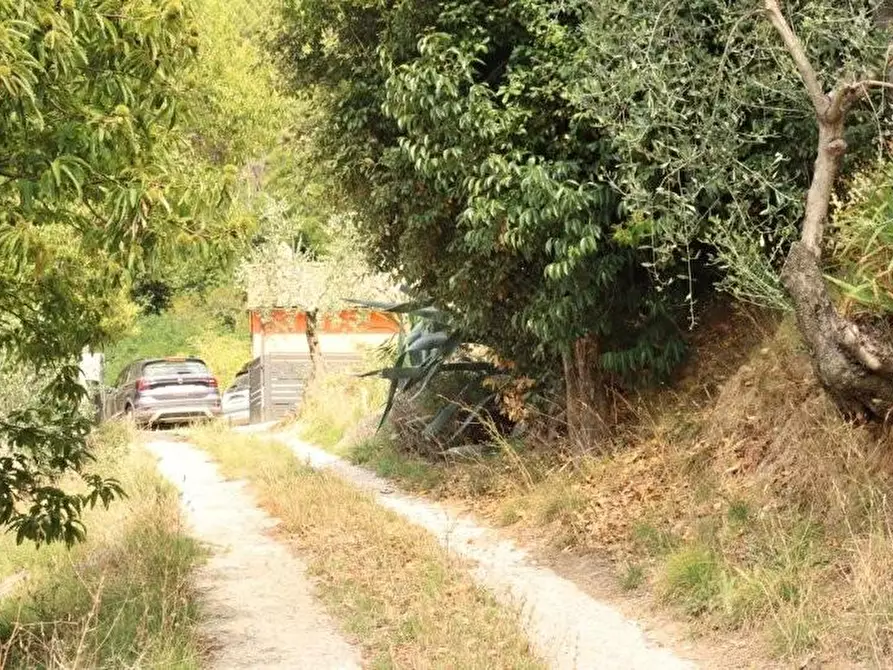 Immagine 30 di Casa indipendente in affitto  a Calci