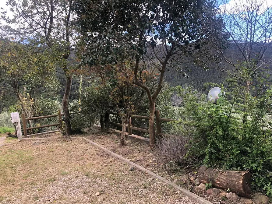 Immagine 5 di Casa indipendente in affitto  a Calci