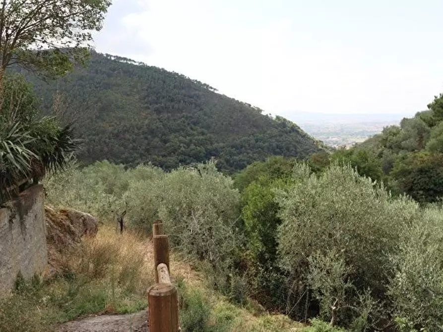 Immagine 42 di Casa indipendente in affitto  a Calci