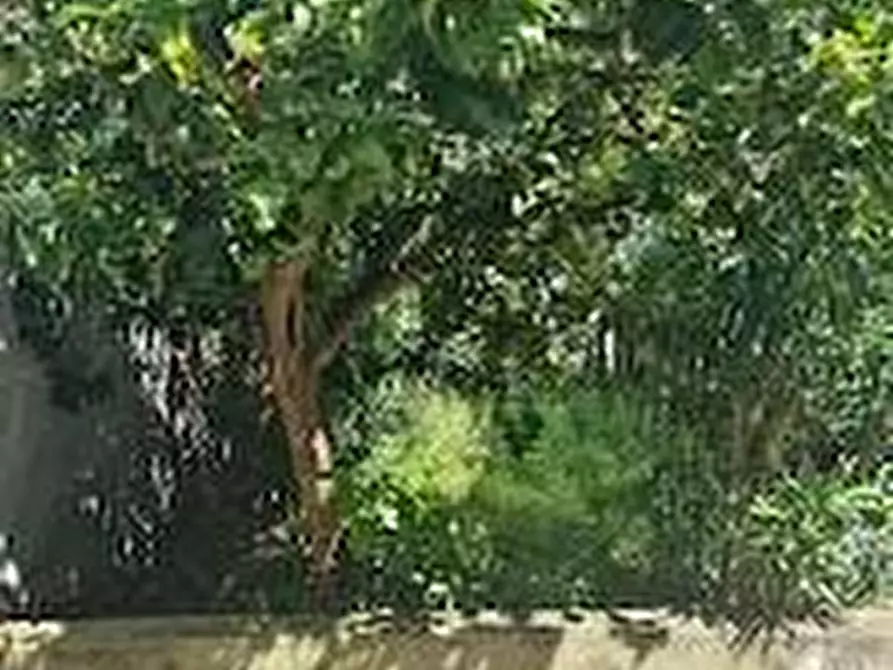 Immagine 29 di Casa semindipendente in vendita  a Carrara