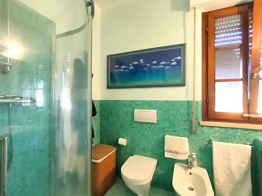 Immagine 19 di Villa in vendita  a Massa