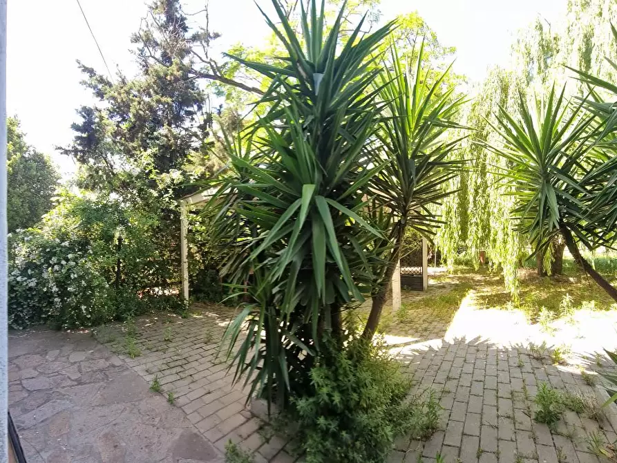 Immagine 2 di Locale commerciale in vendita  a Collesalvetti