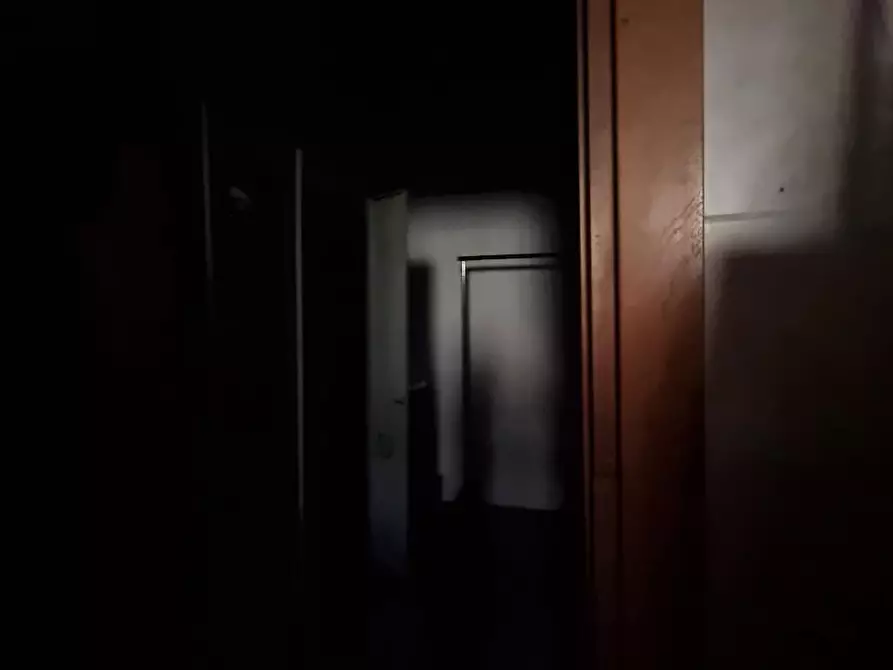 Immagine 9 di Locale commerciale in vendita  a Collesalvetti