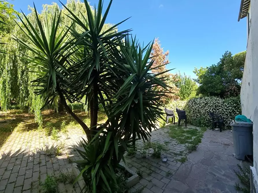 Immagine 3 di Locale commerciale in vendita  a Collesalvetti