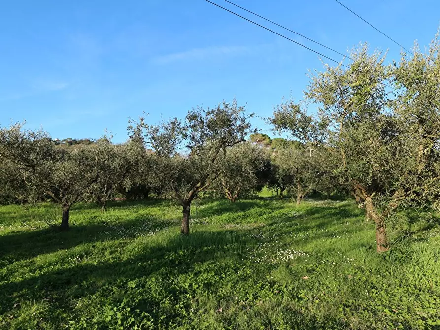Immagine 19 di Terreno agricolo in vendita  a Santa Maria A Monte