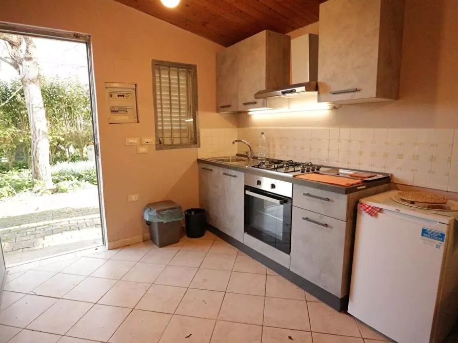 Immagine 5 di Terreno agricolo in vendita  a Santa Maria A Monte