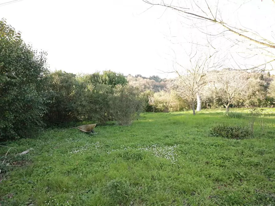 Immagine 21 di Terreno agricolo in vendita  a Santa Maria A Monte