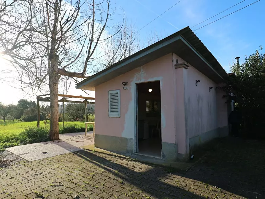 Immagine 12 di Terreno agricolo in vendita  a Santa Maria A Monte