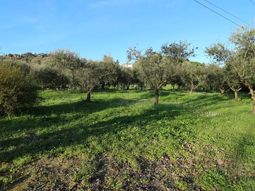 Immagine 18 di Terreno agricolo in vendita  a Santa Maria A Monte