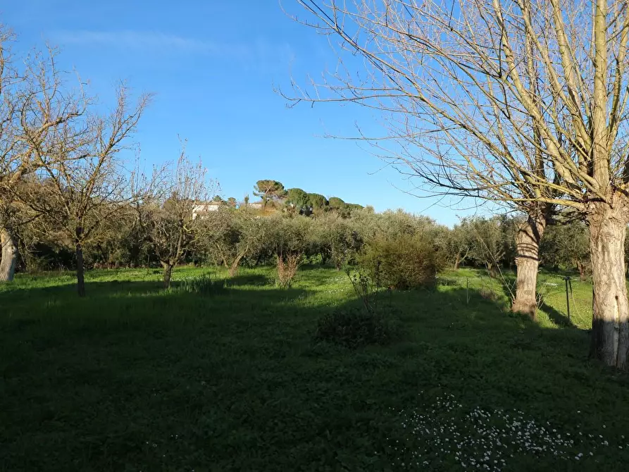 Immagine 17 di Terreno agricolo in vendita  a Santa Maria A Monte