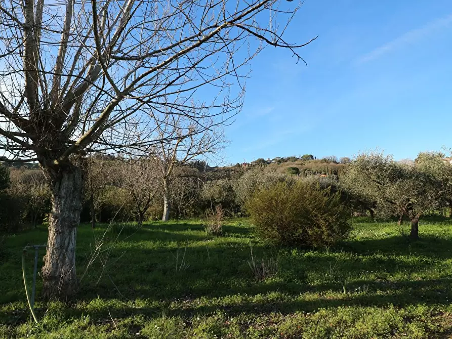 Immagine 20 di Terreno agricolo in vendita  a Santa Maria A Monte