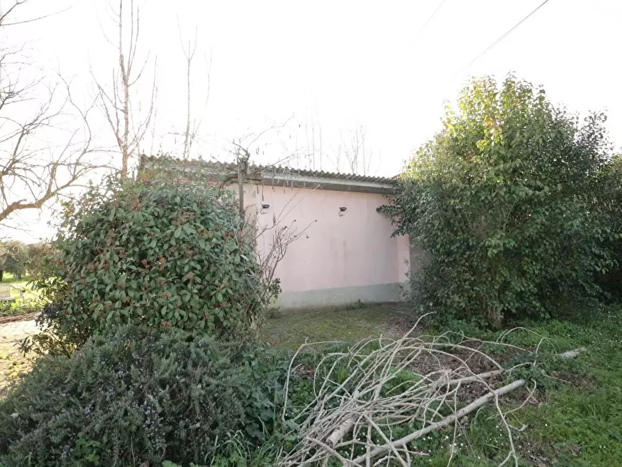 Immagine 16 di Terreno agricolo in vendita  a Santa Maria A Monte