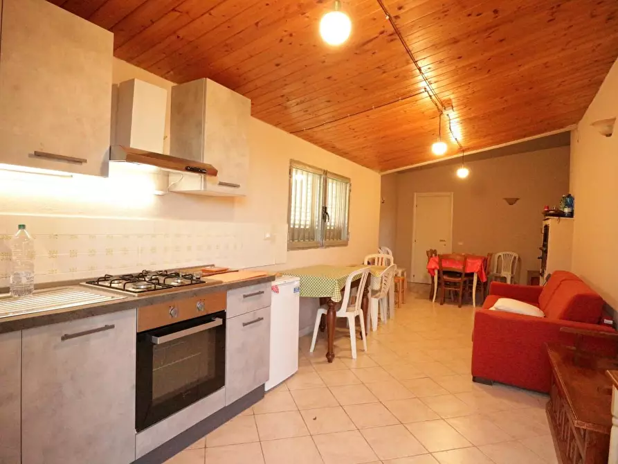 Immagine 4 di Terreno agricolo in vendita  a Santa Maria A Monte