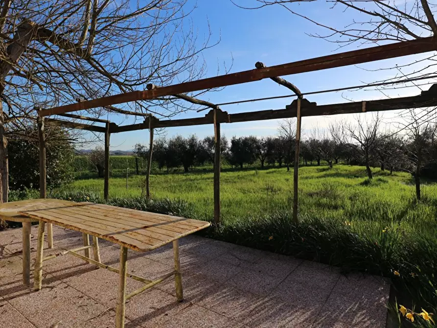 Immagine 3 di Terreno agricolo in vendita  a Santa Maria A Monte