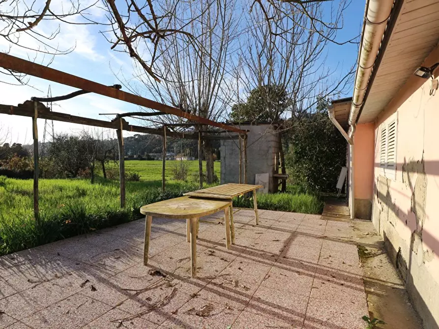 Immagine 2 di Terreno agricolo in vendita  a Santa Maria A Monte