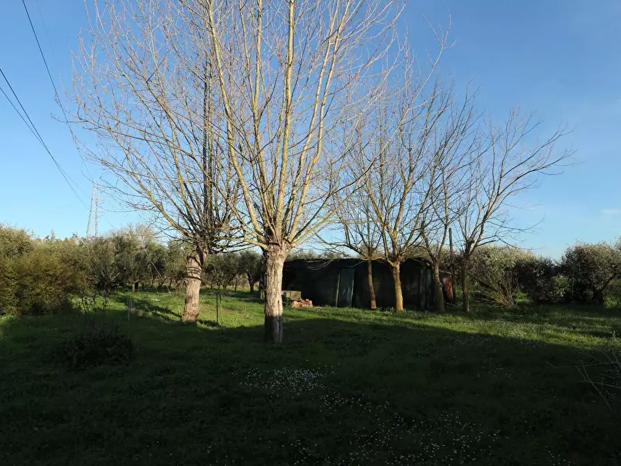 Immagine 15 di Terreno agricolo in vendita  a Santa Maria A Monte