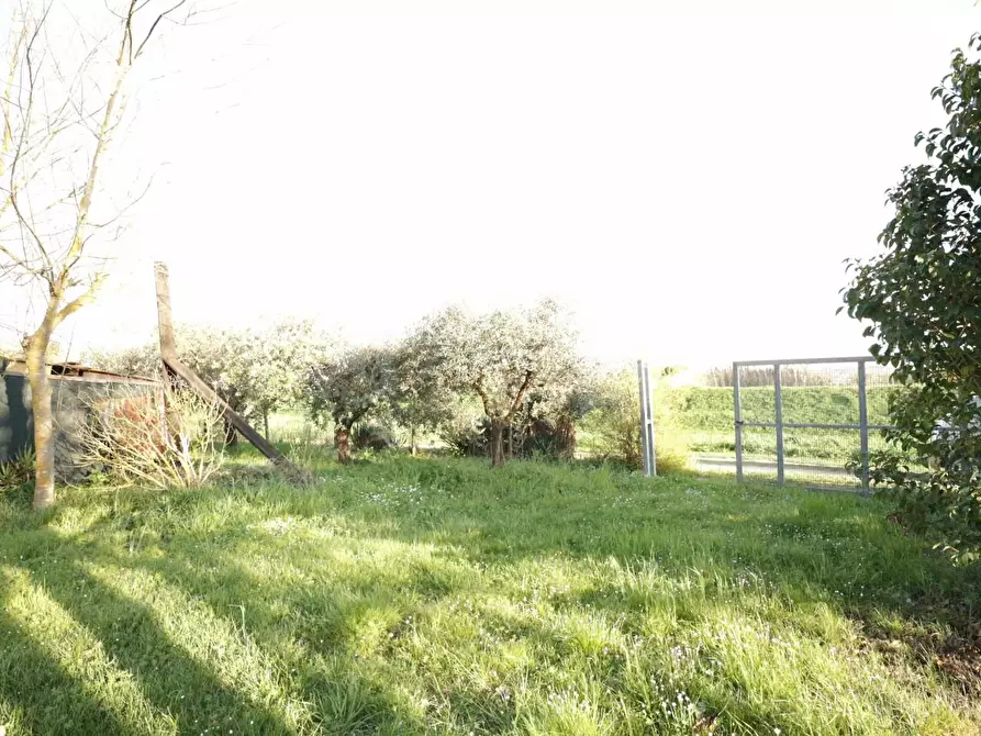 Immagine 22 di Terreno agricolo in vendita  a Santa Maria A Monte