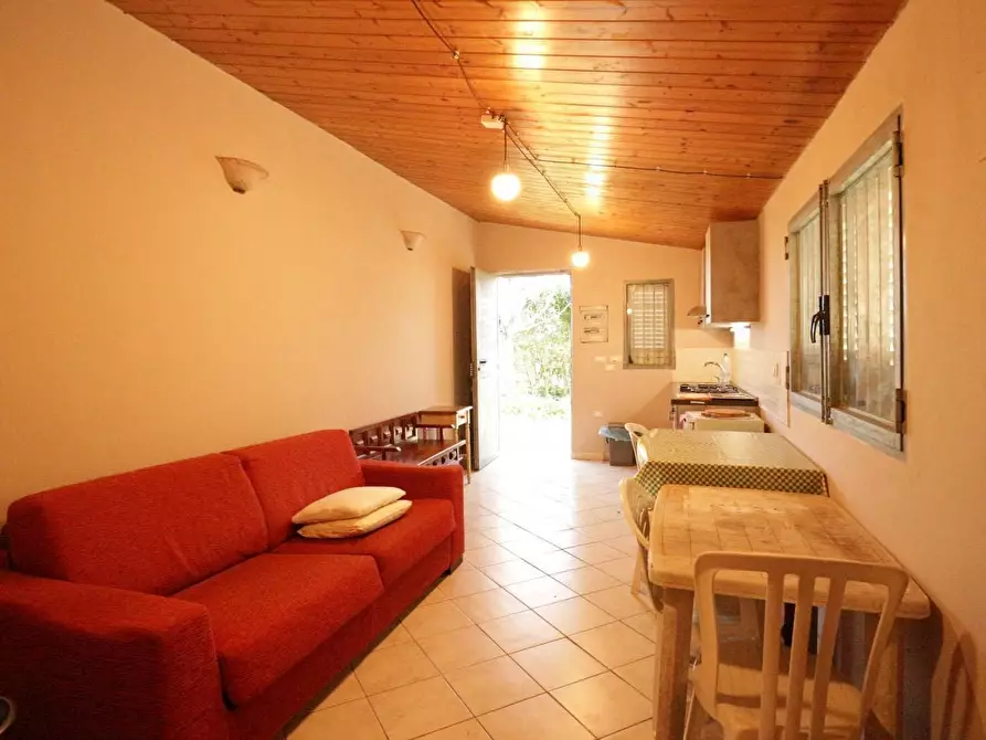 Immagine 8 di Terreno agricolo in vendita  a Santa Maria A Monte