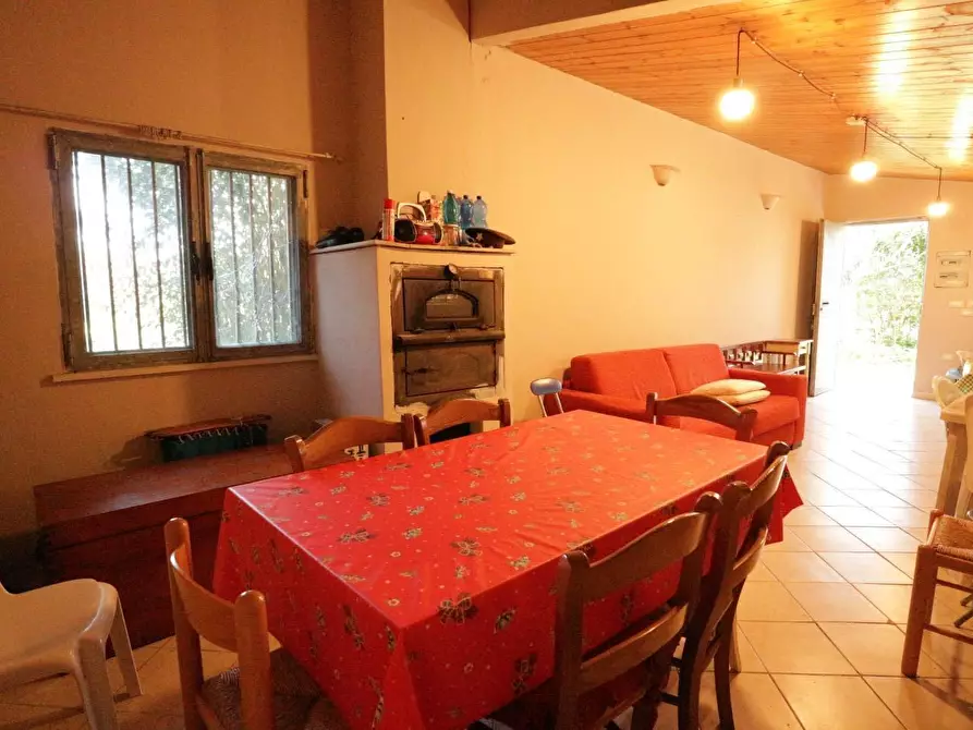 Immagine 9 di Terreno agricolo in vendita  a Santa Maria A Monte