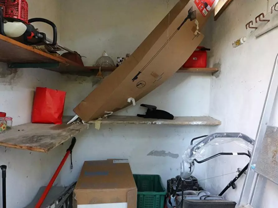 Immagine 13 di Terreno agricolo in vendita  a Santa Maria A Monte