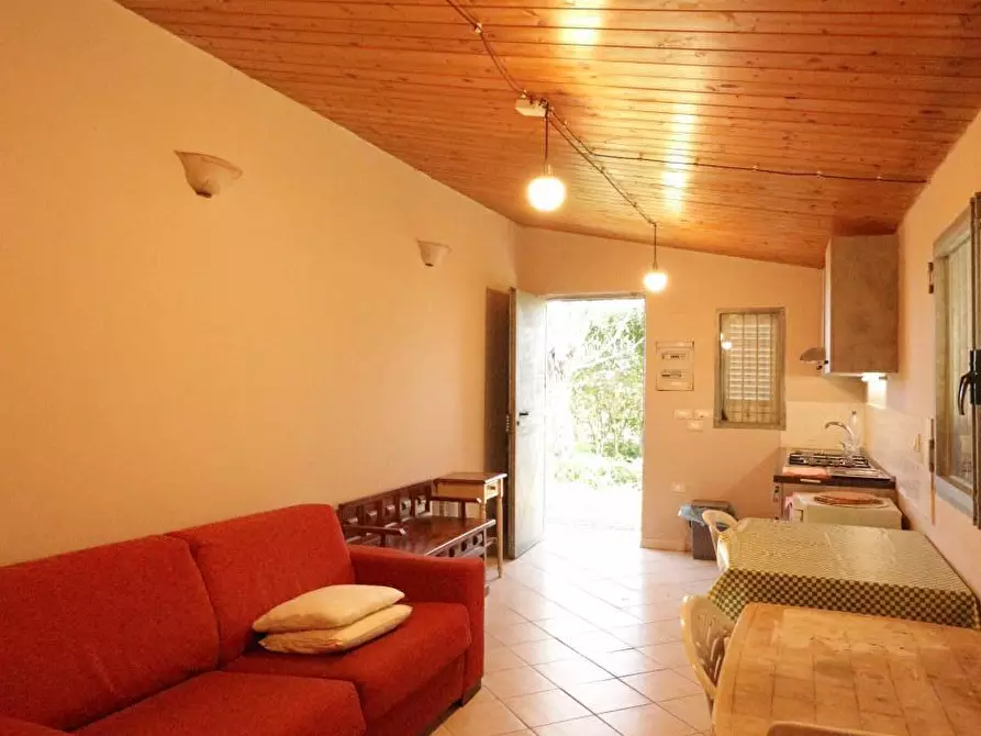 Immagine 7 di Terreno agricolo in vendita  a Santa Maria A Monte